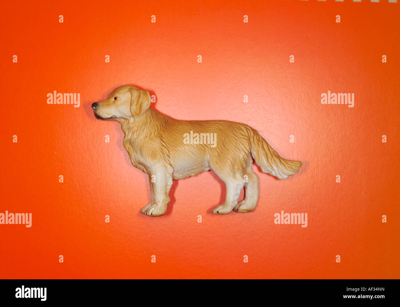 Schleich model dog on orange background Stock Photo