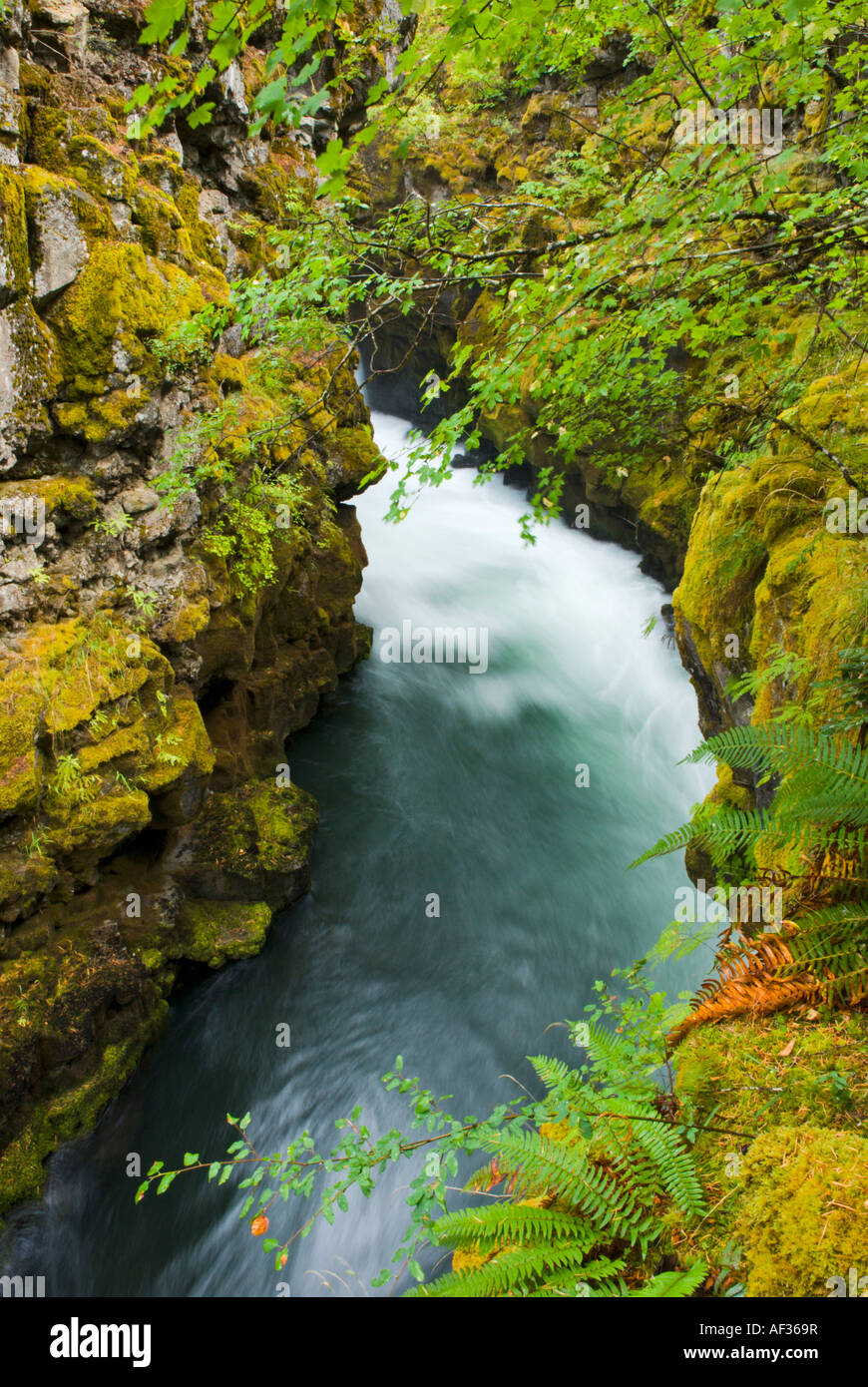 The Rogue River Rogue River National Forest Oregon Stock Photo
