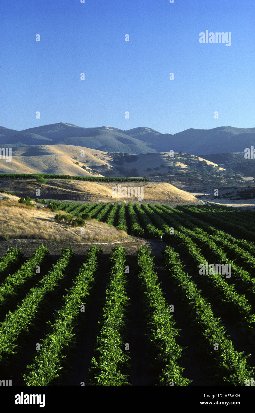 Salinas California Wine High Resolution Stock Photography and Images