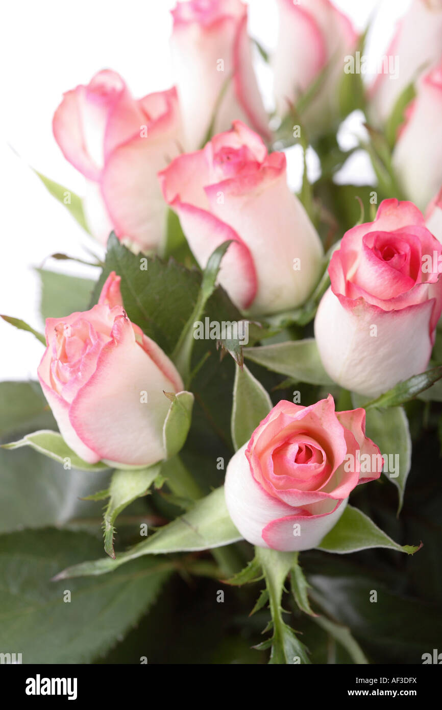 Cut flower bouquet Cut Out Stock Images & Pictures - Alamy