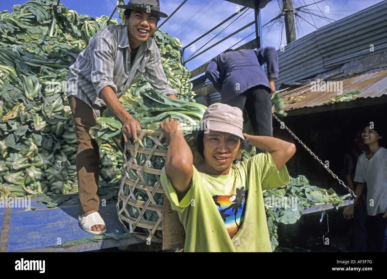seasonal worker for the harvest, Vietnam Stock Photo