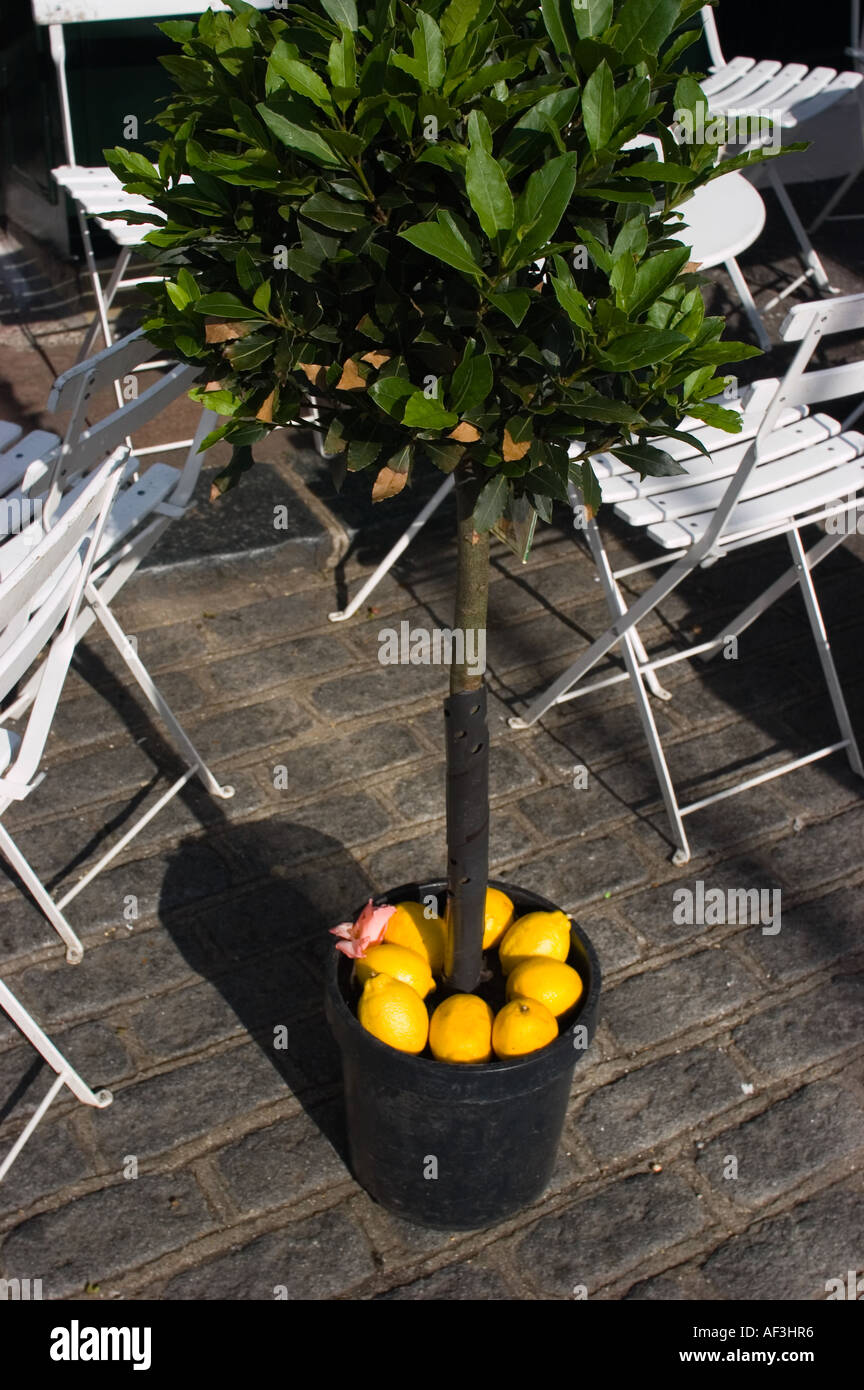 Lewes sussex cafe hi-res stock photography and images - Alamy