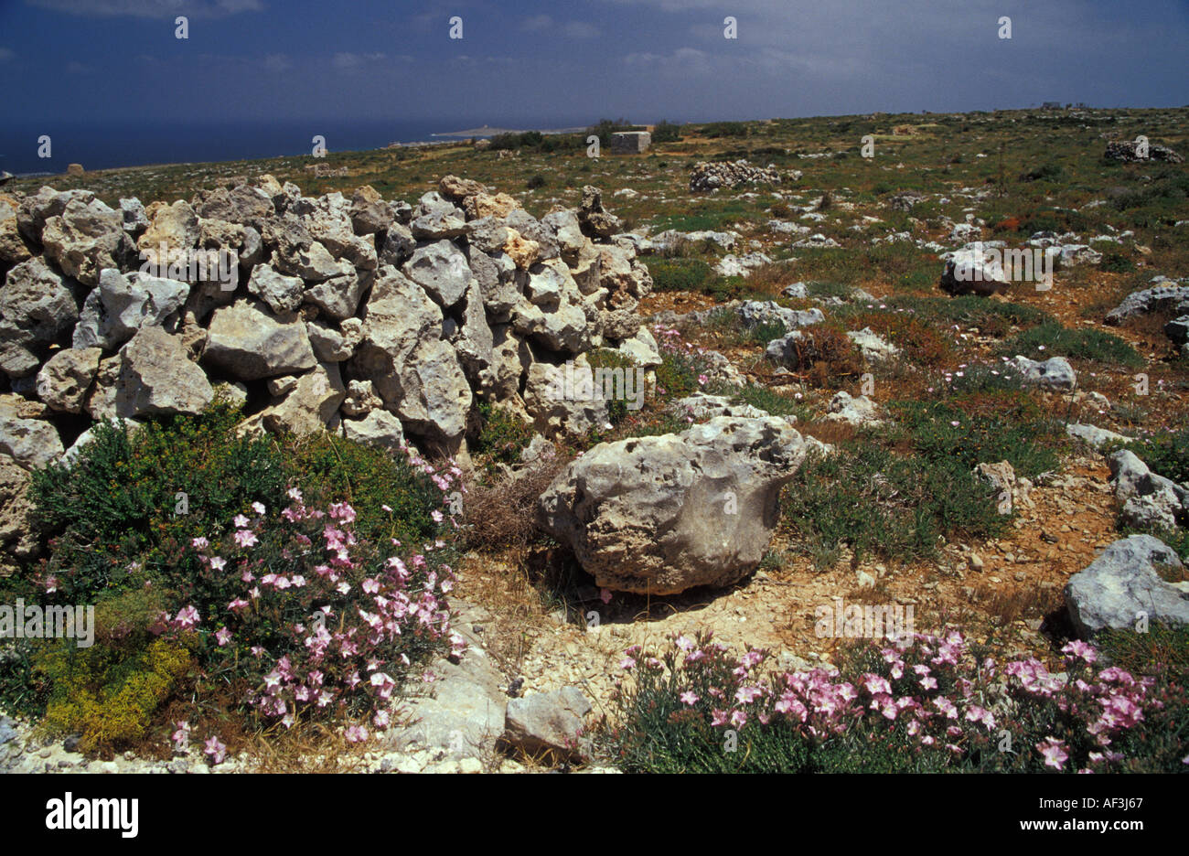 Hunting Trap Malta Stock Photo Alamy