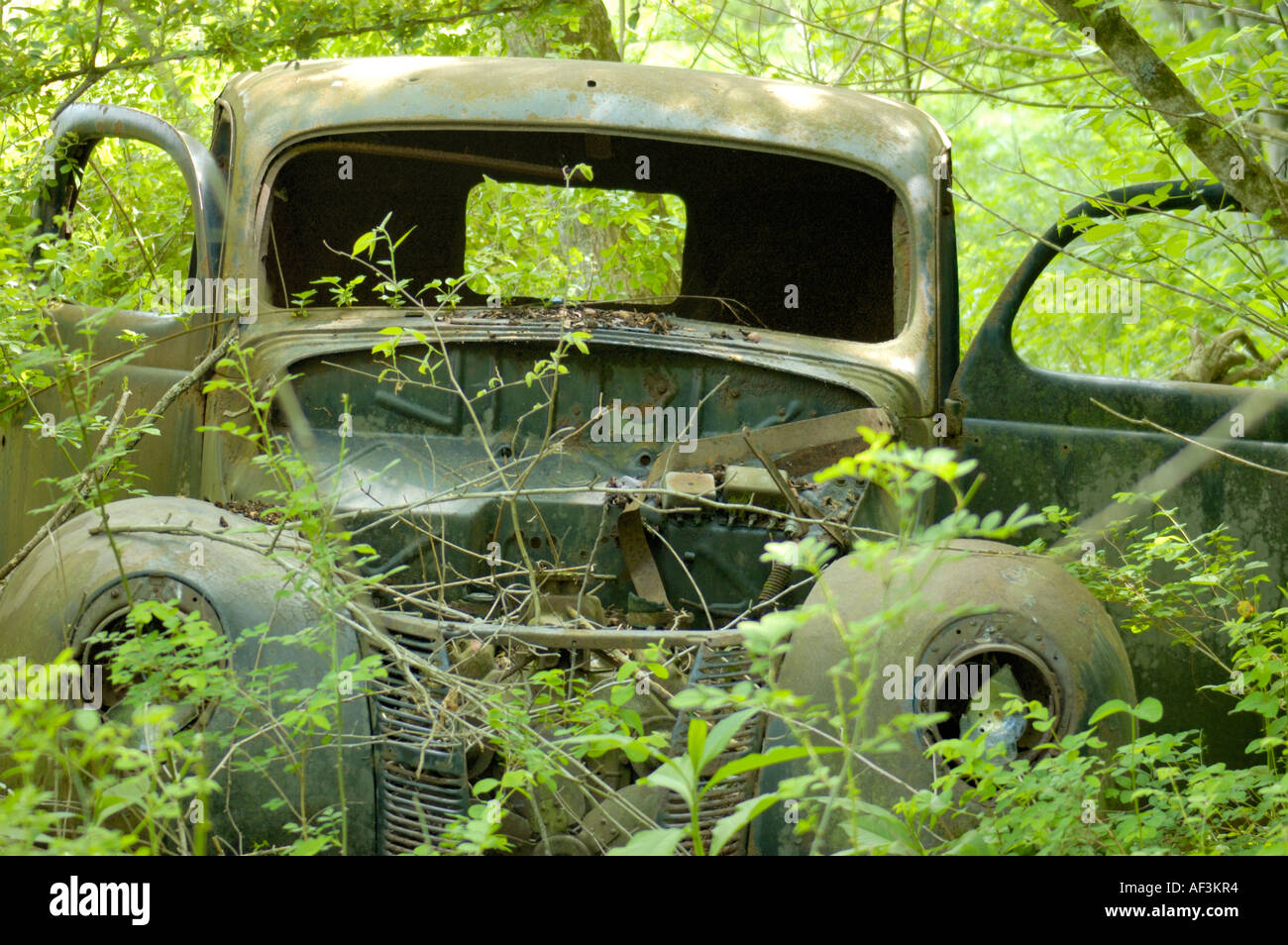 About overgrown weeds hi-res stock photography and images - Alamy