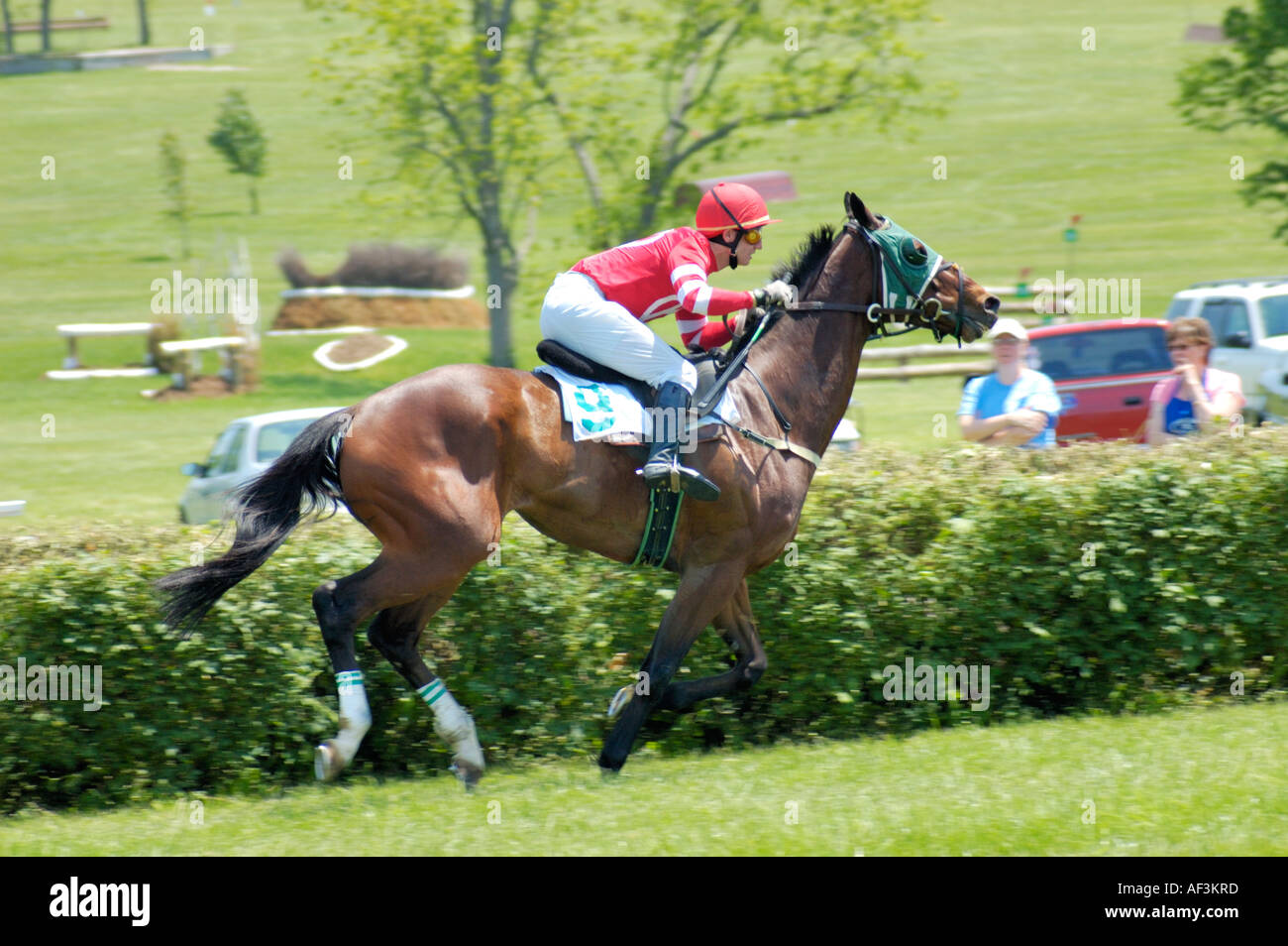 Horse and rider at steeplechase Stock Photo Alamy
