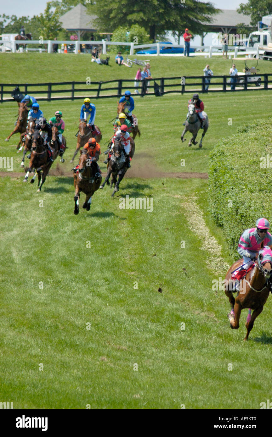 Horse and riders at steeplechase Stock Photo Alamy