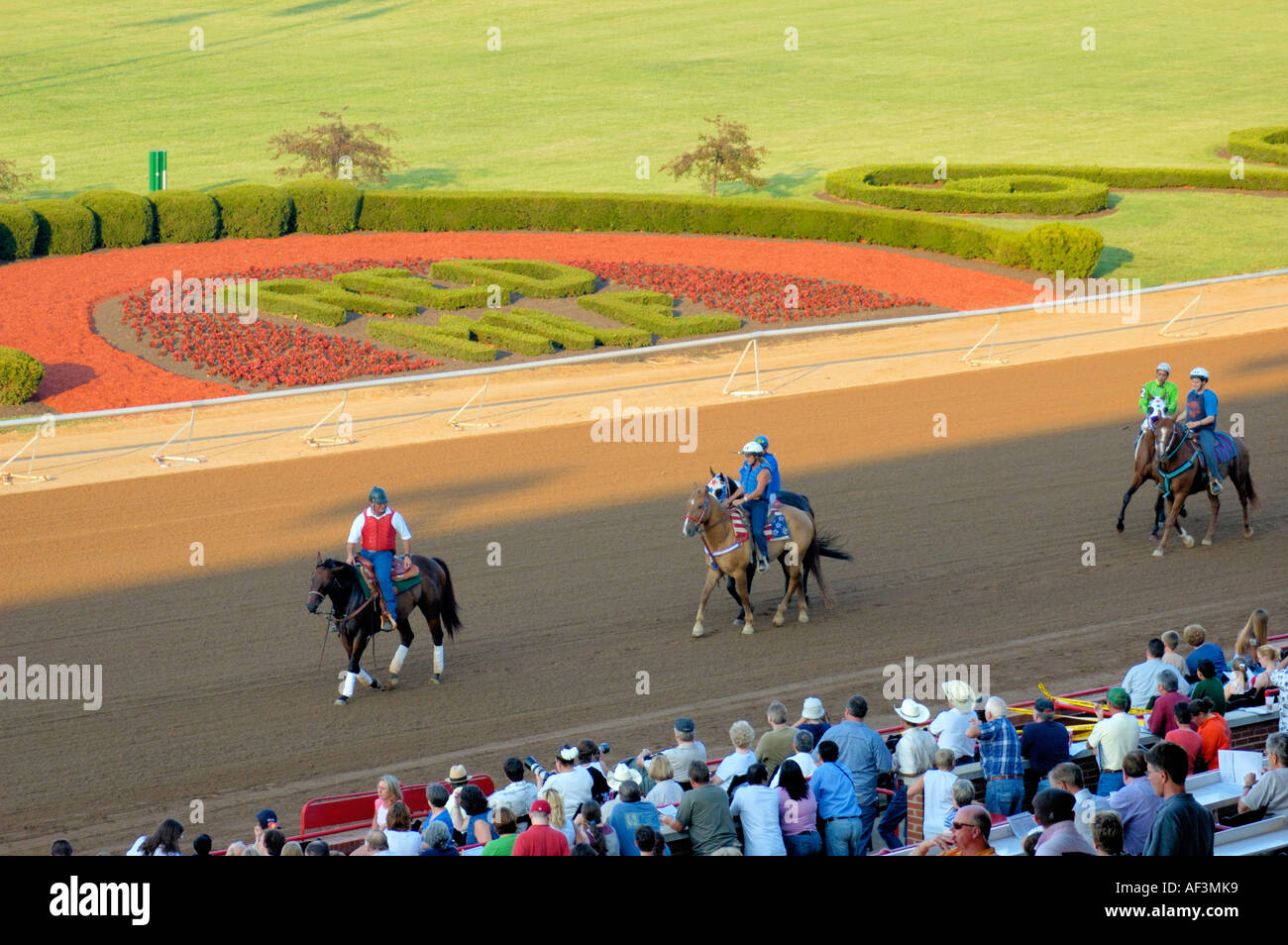 Entries for Quarter Horse Races Stock Photo Alamy