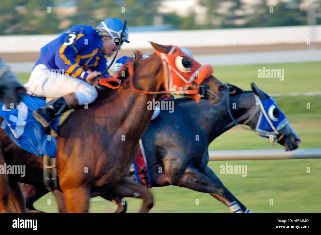 Racing annual quarter horse races hires stock photography and images