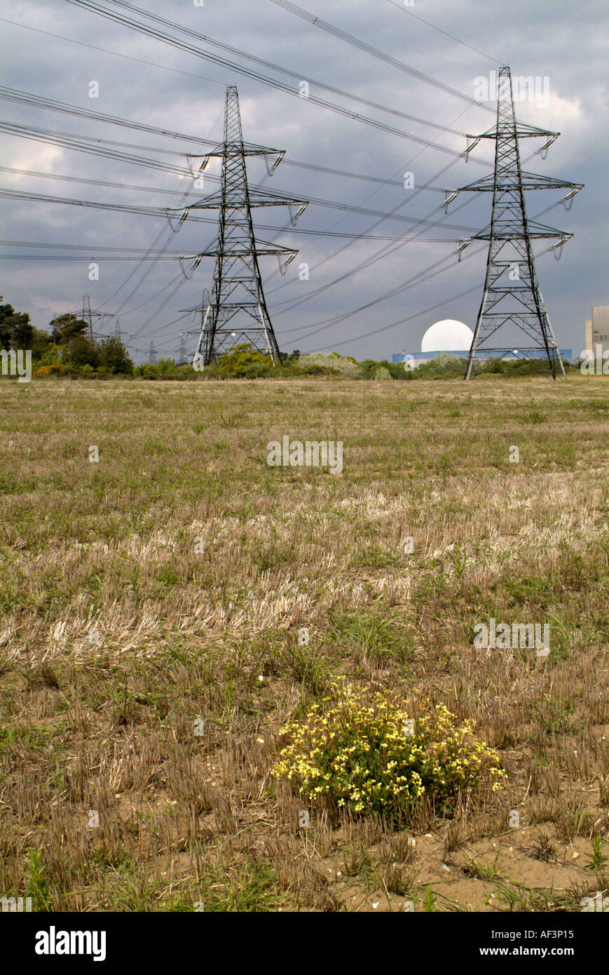 Nuclear power station Sizewell Suffolk Stock Photo