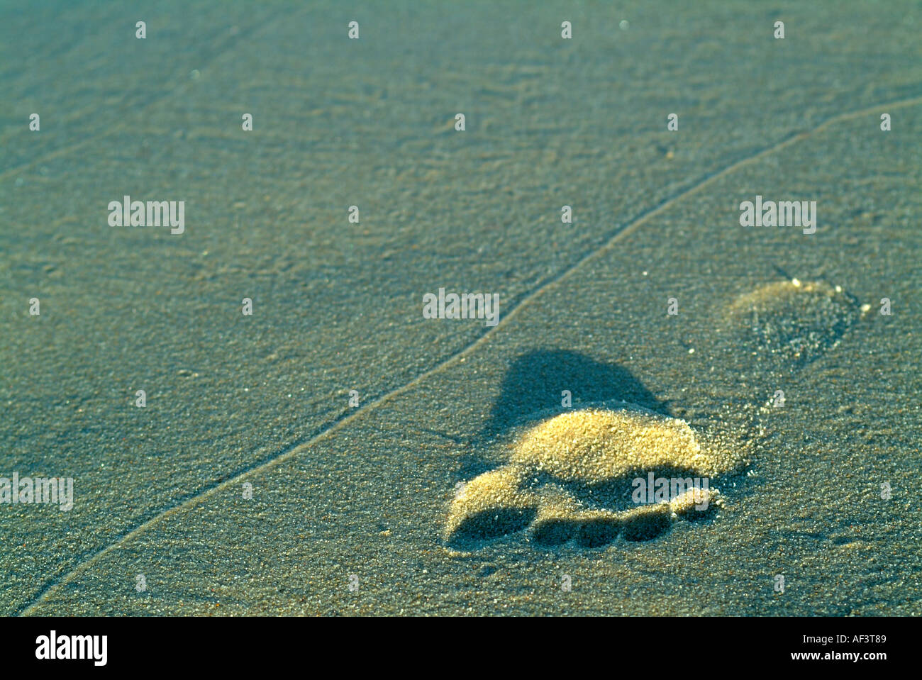 Foot print Stock Photo