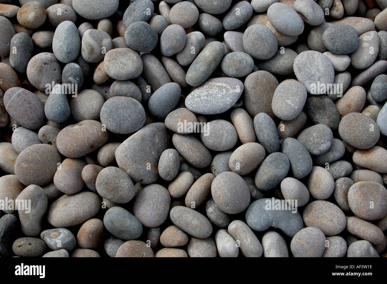 Portland dorset detail hires stock photography and images Alamy