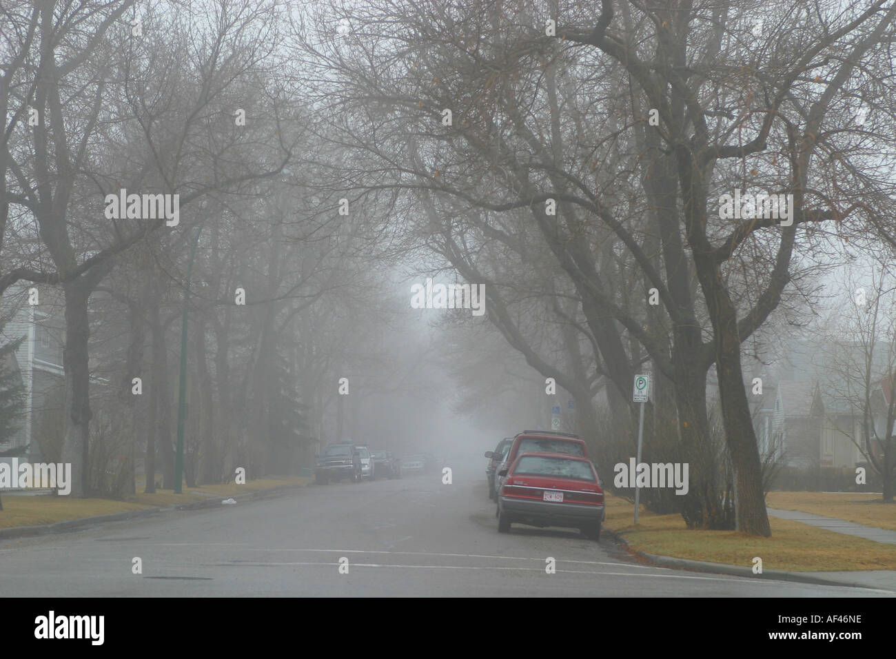 Foggy day Stock Photo