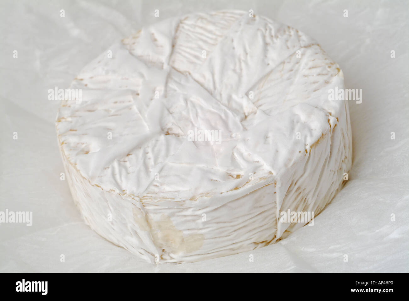 Camembert Cheese on its White Grease Proof Paper Stock Photo
