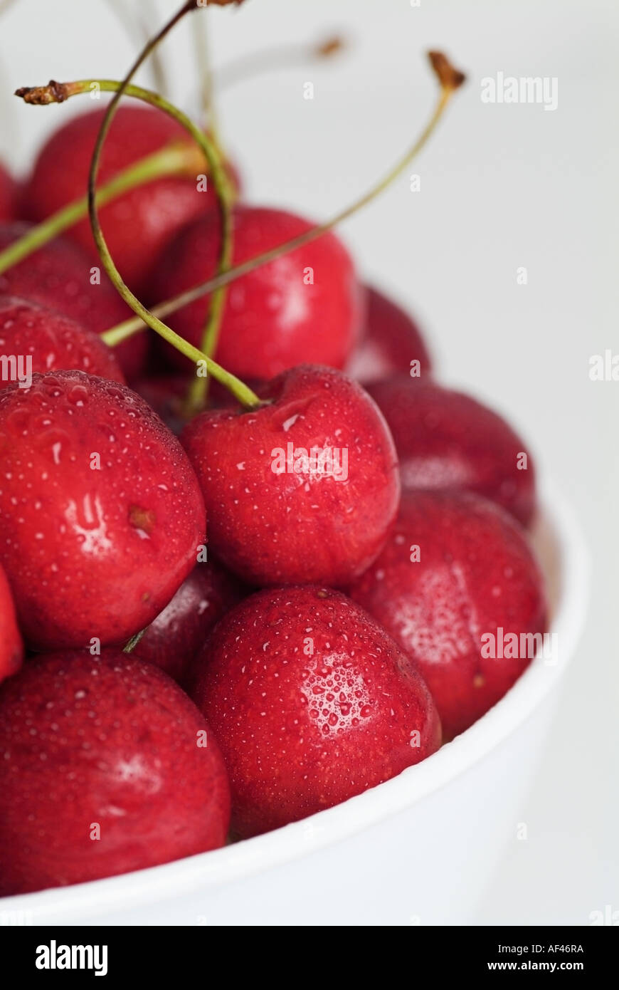 Red Cherries in a White Bowl Stock Photo