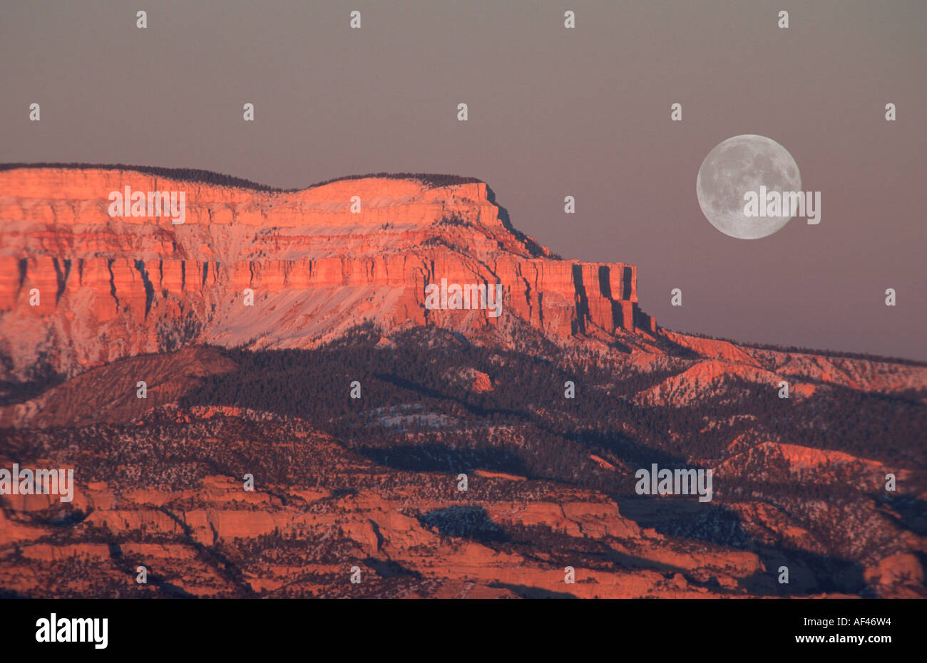 Fullmoon above sandstone formation, Aquarius Plateau near Bryce Canyon, Utah, USA Stock Photo