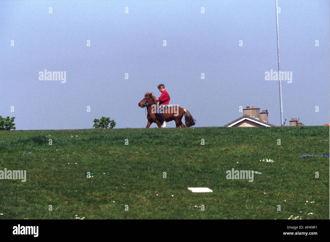 A boy with his horse on the Ballymun estate Dublin Stock Photo Alamy