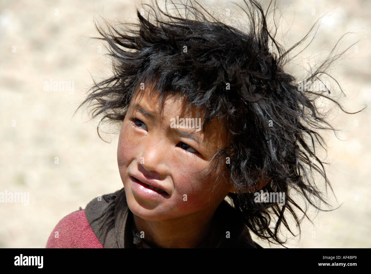 Portrait Nomads Tibetan Boy With Tousled Hair Tibet China Stock