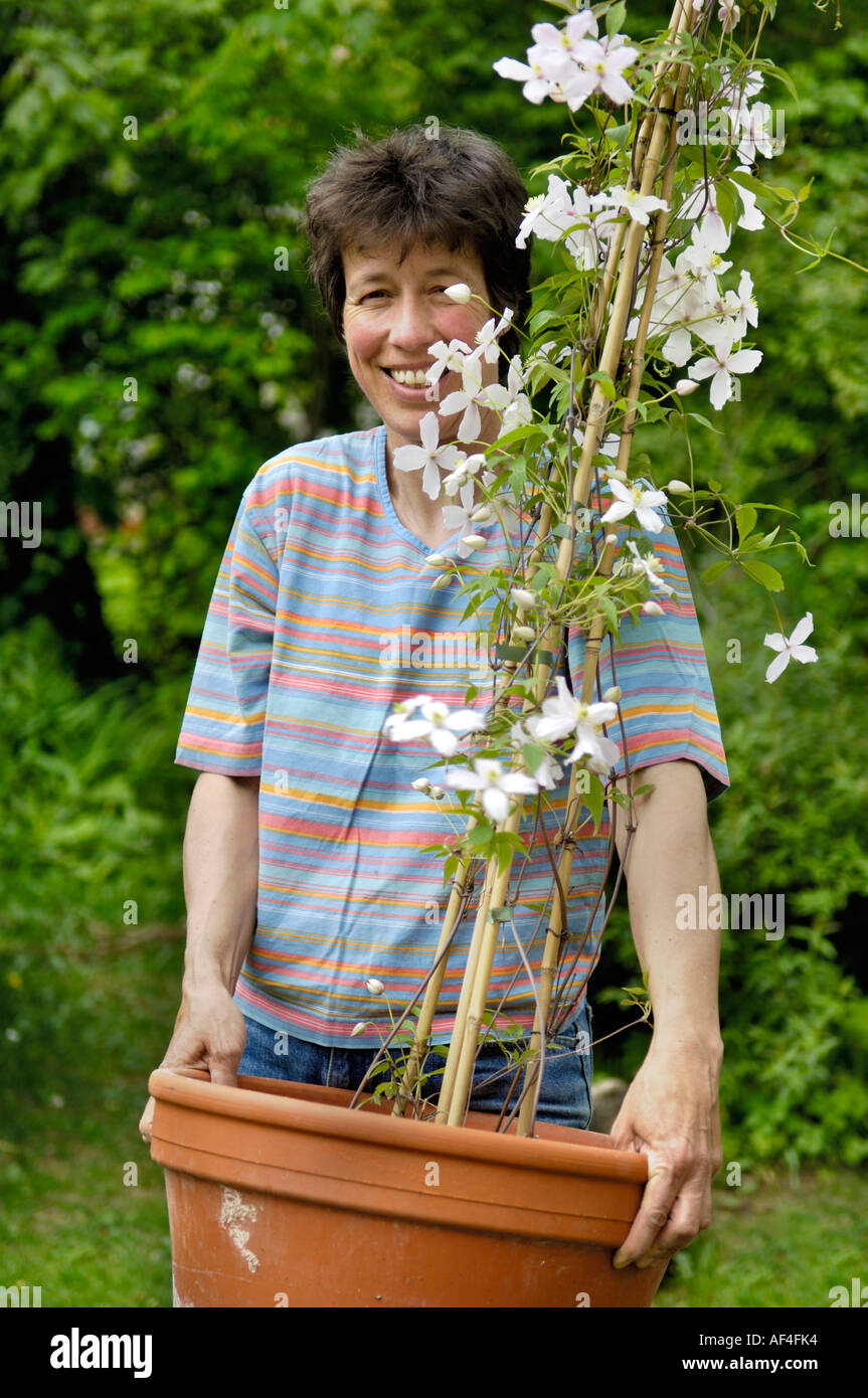 Mr Woman Holding Flower Pot With Clematis Clematis Montana Rubens Stock Photo Alamy