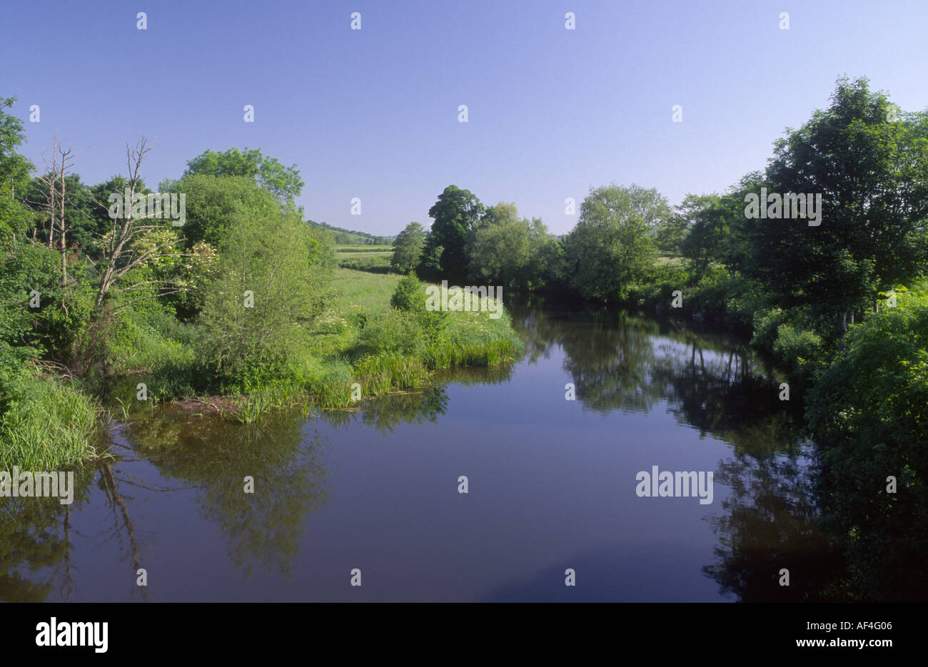 River Exe Thorverton Mid Devon Stock Photo