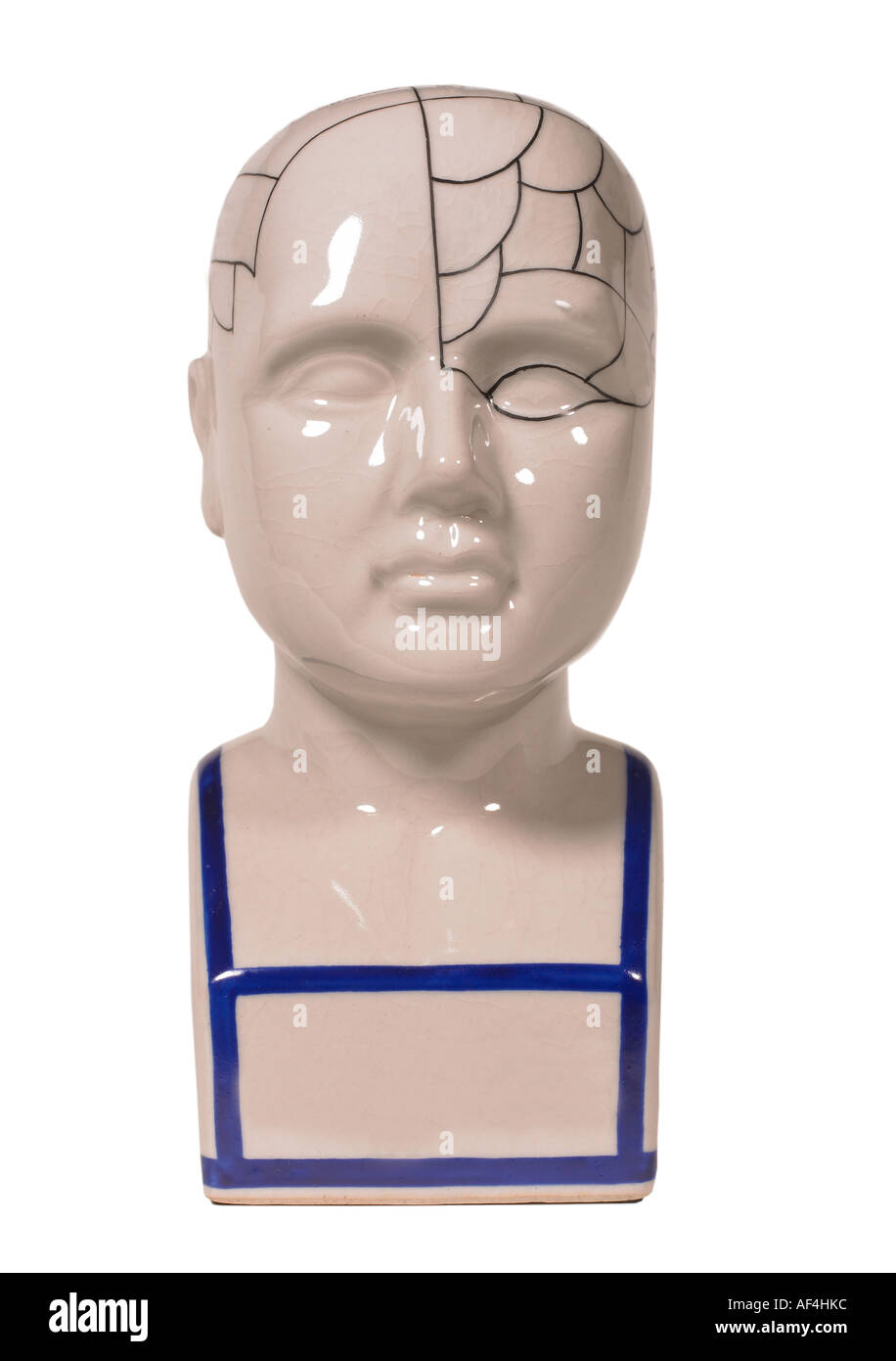 Phrenology head Stock Photo