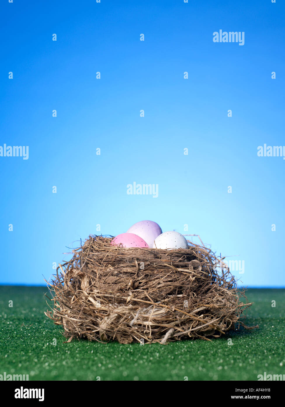 Birds nest Stock Photo