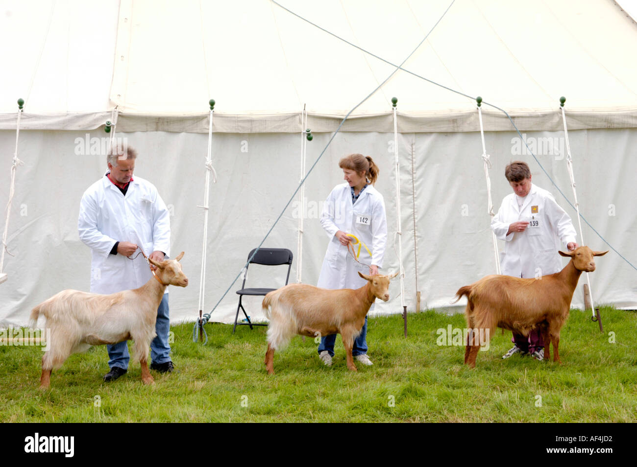 Brecon county show hires stock photography and images Alamy