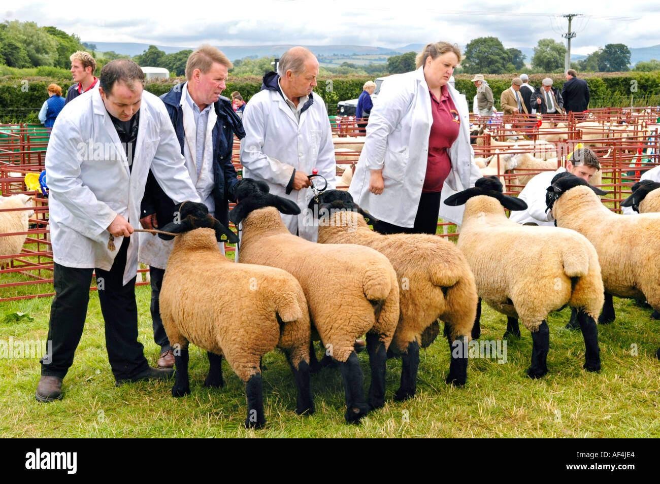 Agricultural show hires stock photography and images Alamy