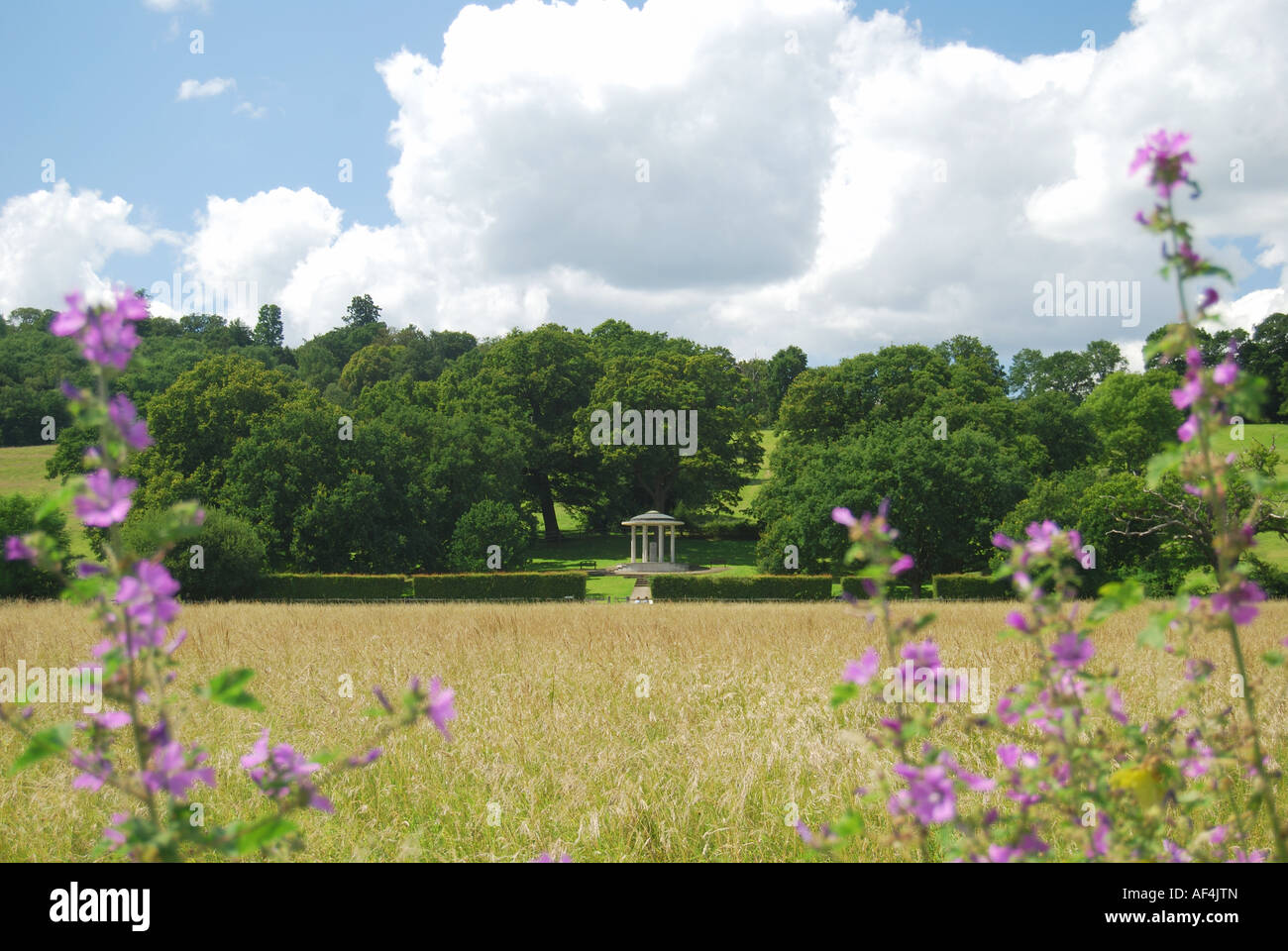 Water meadows site of signing of the Magna Carta, Runnymede, Surrey, England, United Kingdom Stock Photo