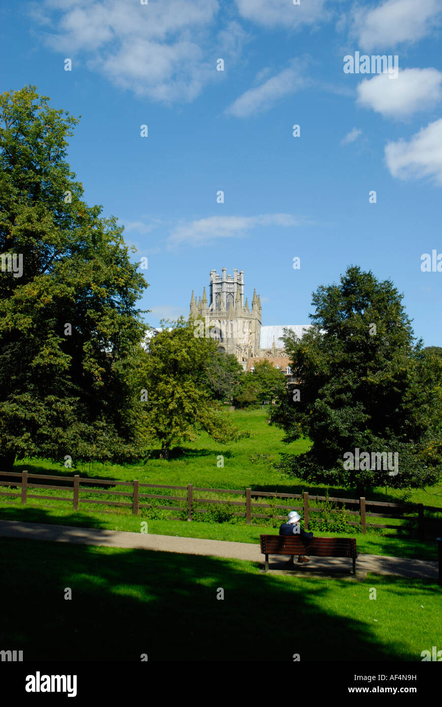 Ely Park and Octagon Tower of Ely Cathedral seen through trees ...
