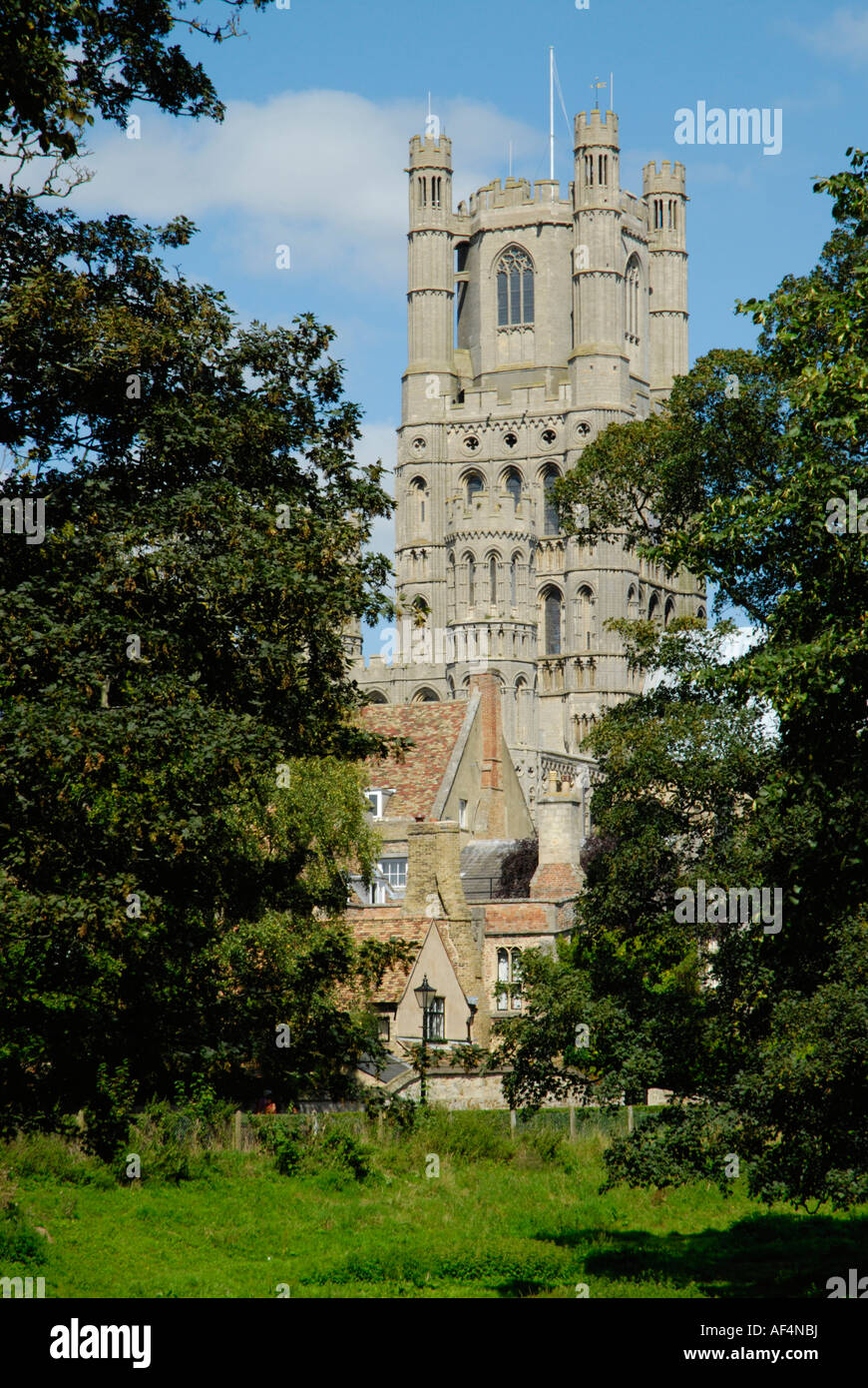 Ely Cathedral West Tower and monastic buildings seen through trees of ...