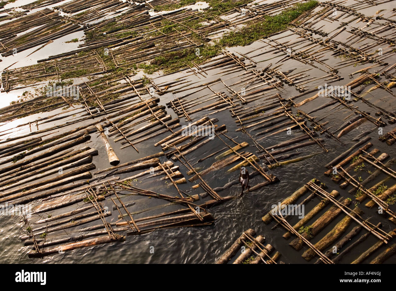 Nigeria Lagos Wooden logs in water for construction Stock Photo Alamy