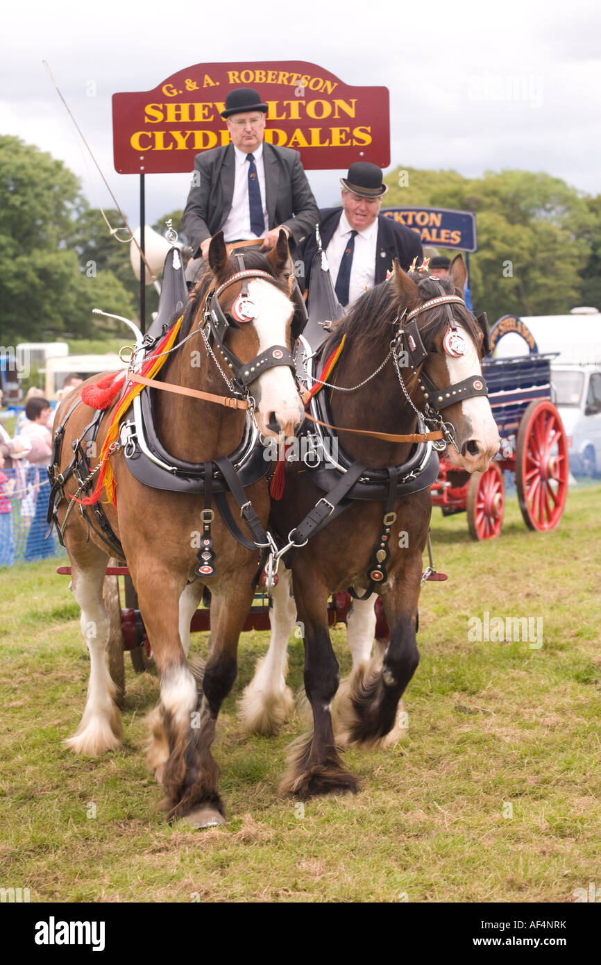 Horses pulling cart hires stock photography and images Alamy