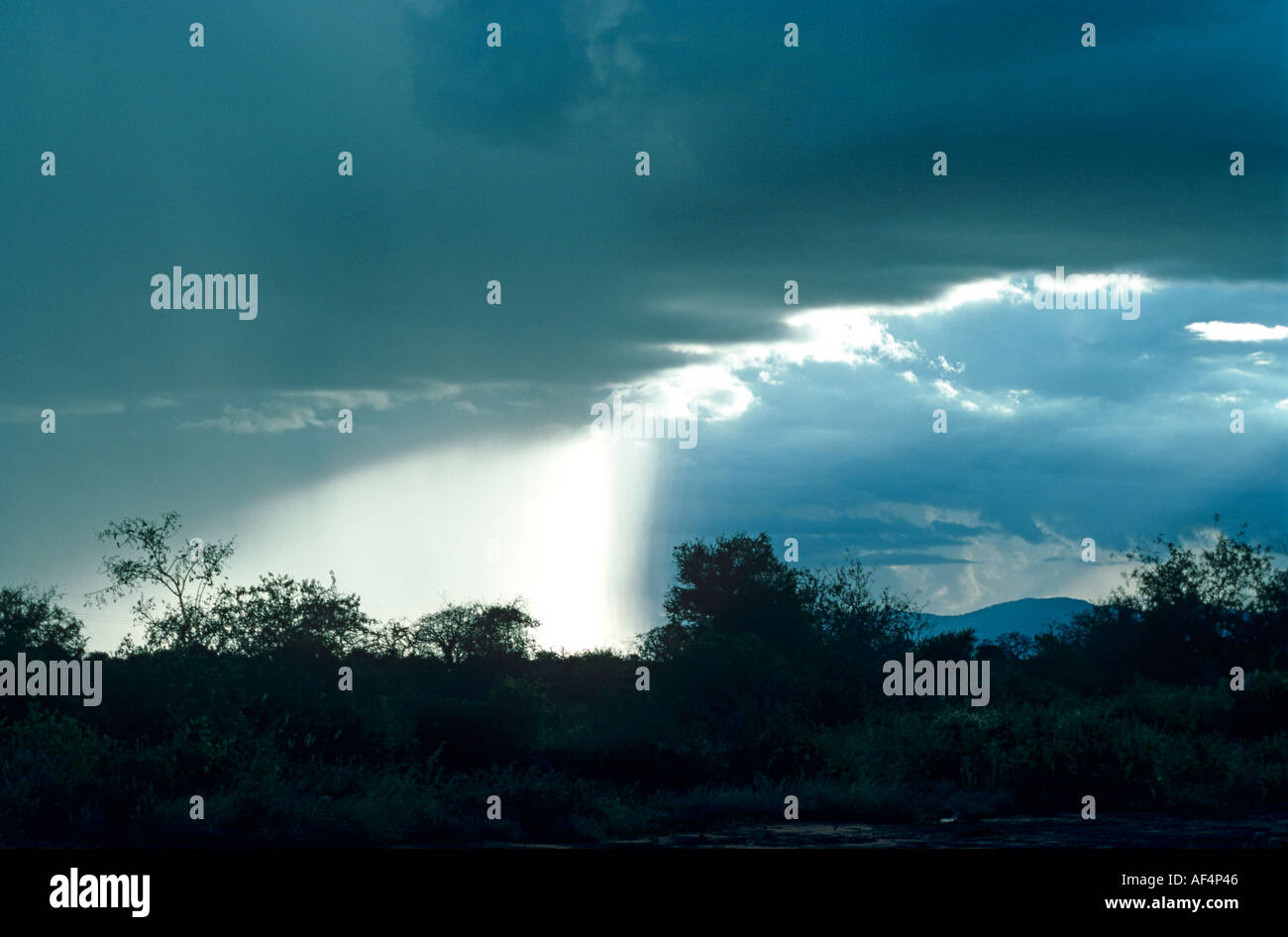 Backlit Rain Silhouette backlit curtain hi-res stock photography and images - Alamy