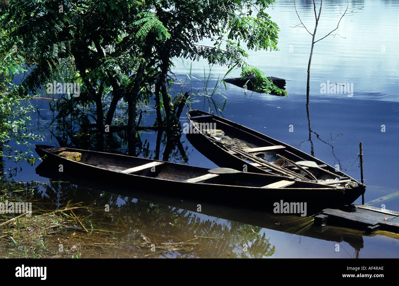 Two local dugout style canoes moored on still waters by a riverbank in rainforest scenery of the Amazon region of Brazil Stock Photo