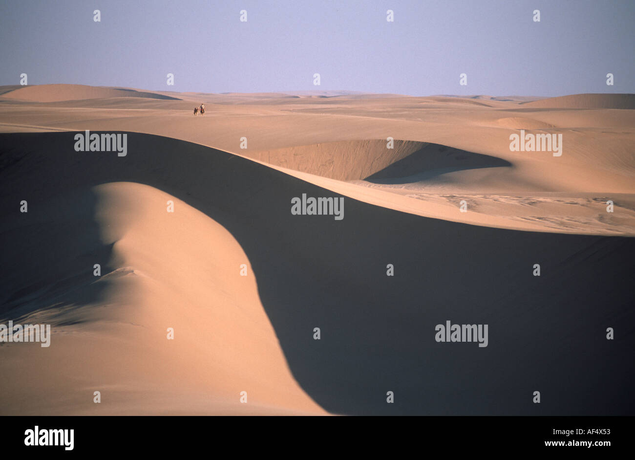 Benedict Allen and his team of camels negotiate a sand dune Stock Photo