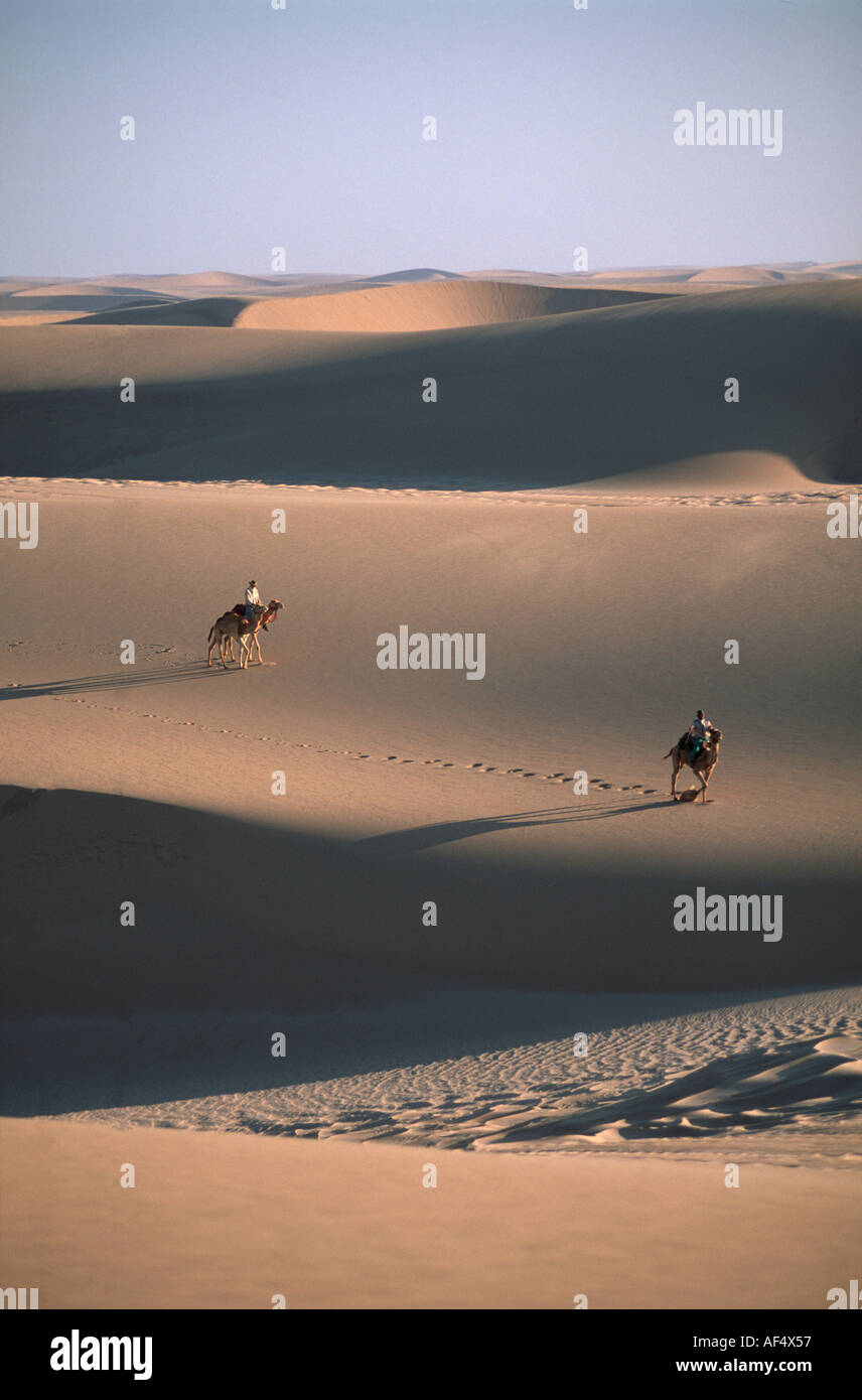 Benedict Allen and his team of camels negotiate a sand dune during his journey along the Skeleton coast Stock Photo