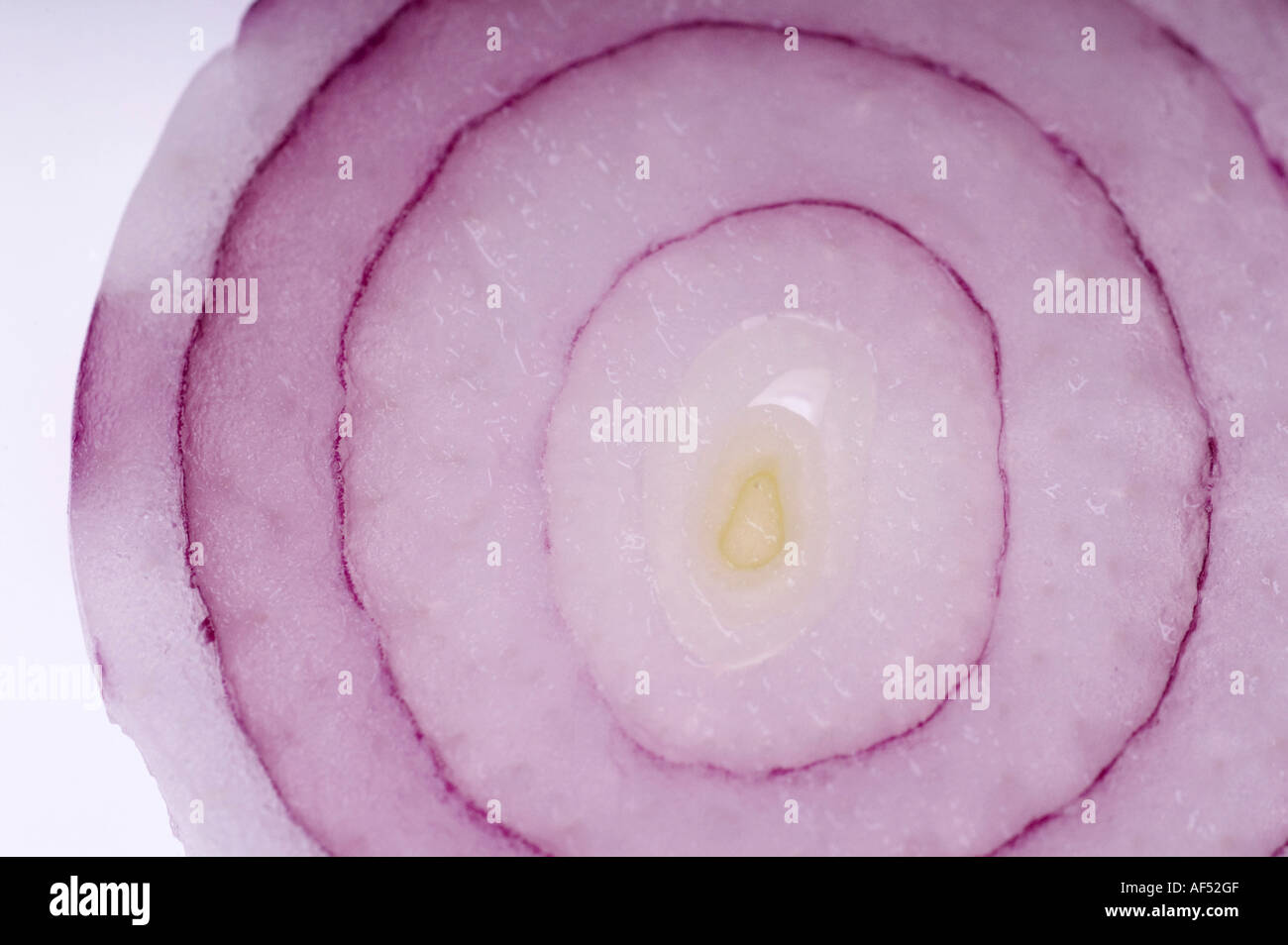 White onion pattern hi-res stock photography and images - Alamy