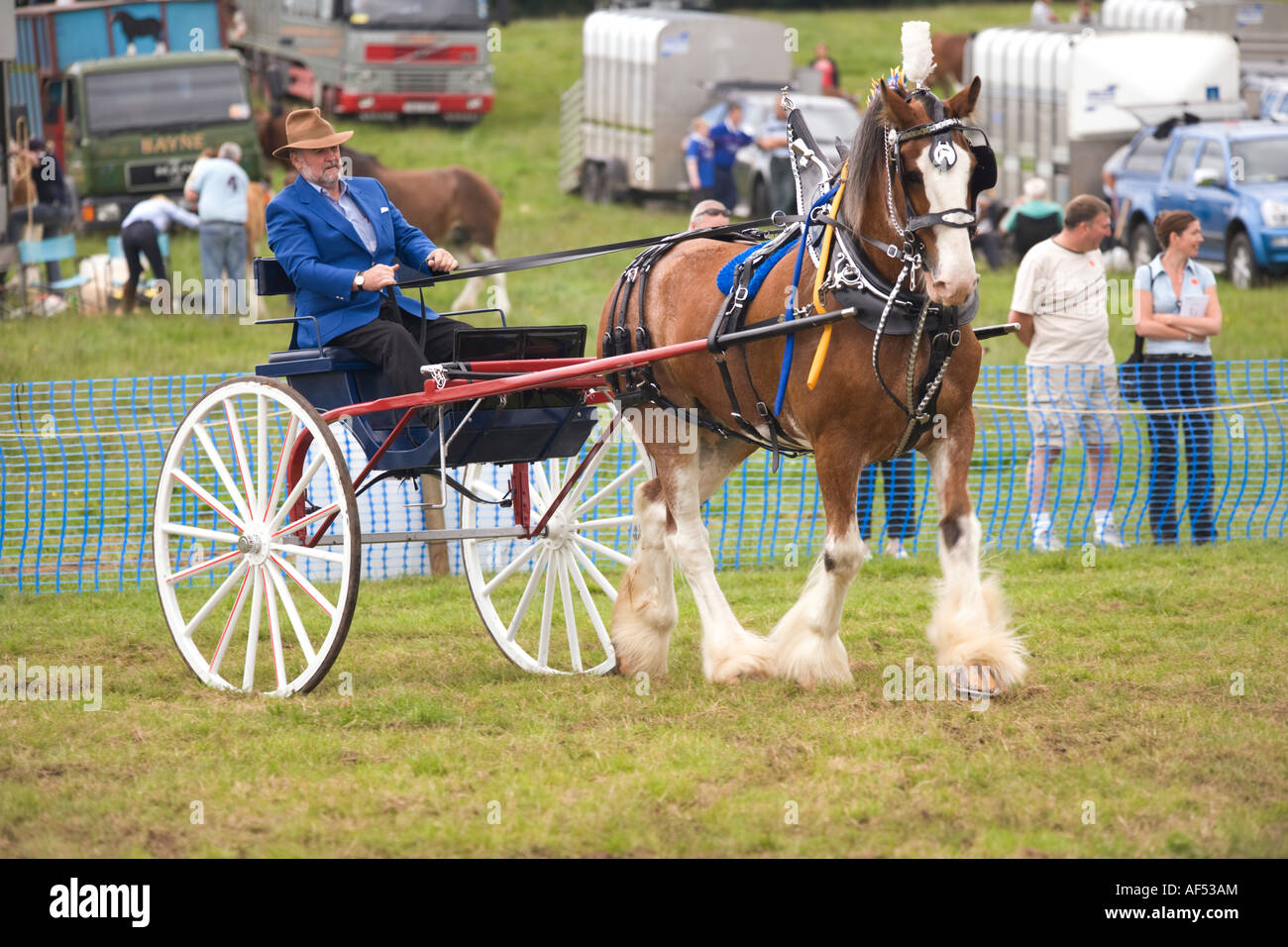 Clydesdale horse pulling hires stock photography and images Alamy