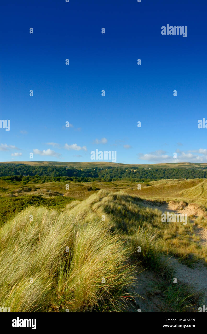 Sand dunes at Oxwich Bay National Nature reserve Gower near Swansea Wales United Kingdom Uk Europe Stock Photo