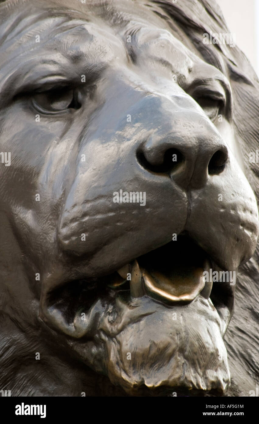 Lion statue at trafalgar square hi-res stock photography and images - Alamy