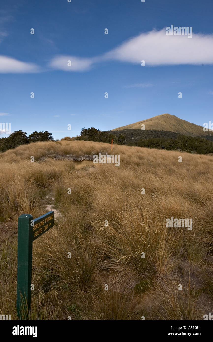 Nz Track Sign track sign Hiking Kahurangi National Park New Zealand Stock Photo - Alamy