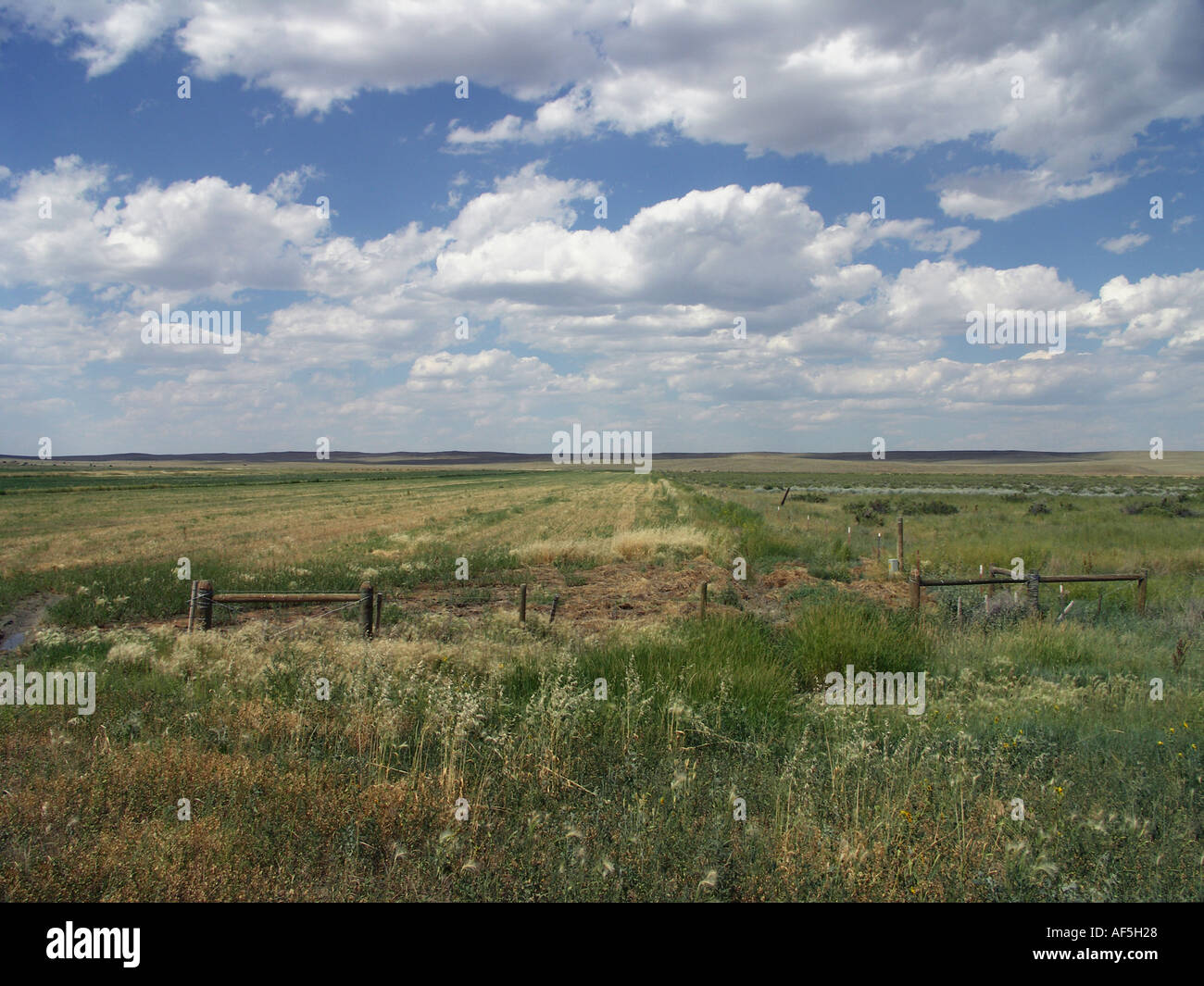 Montana in Summer Stock Photo Alamy