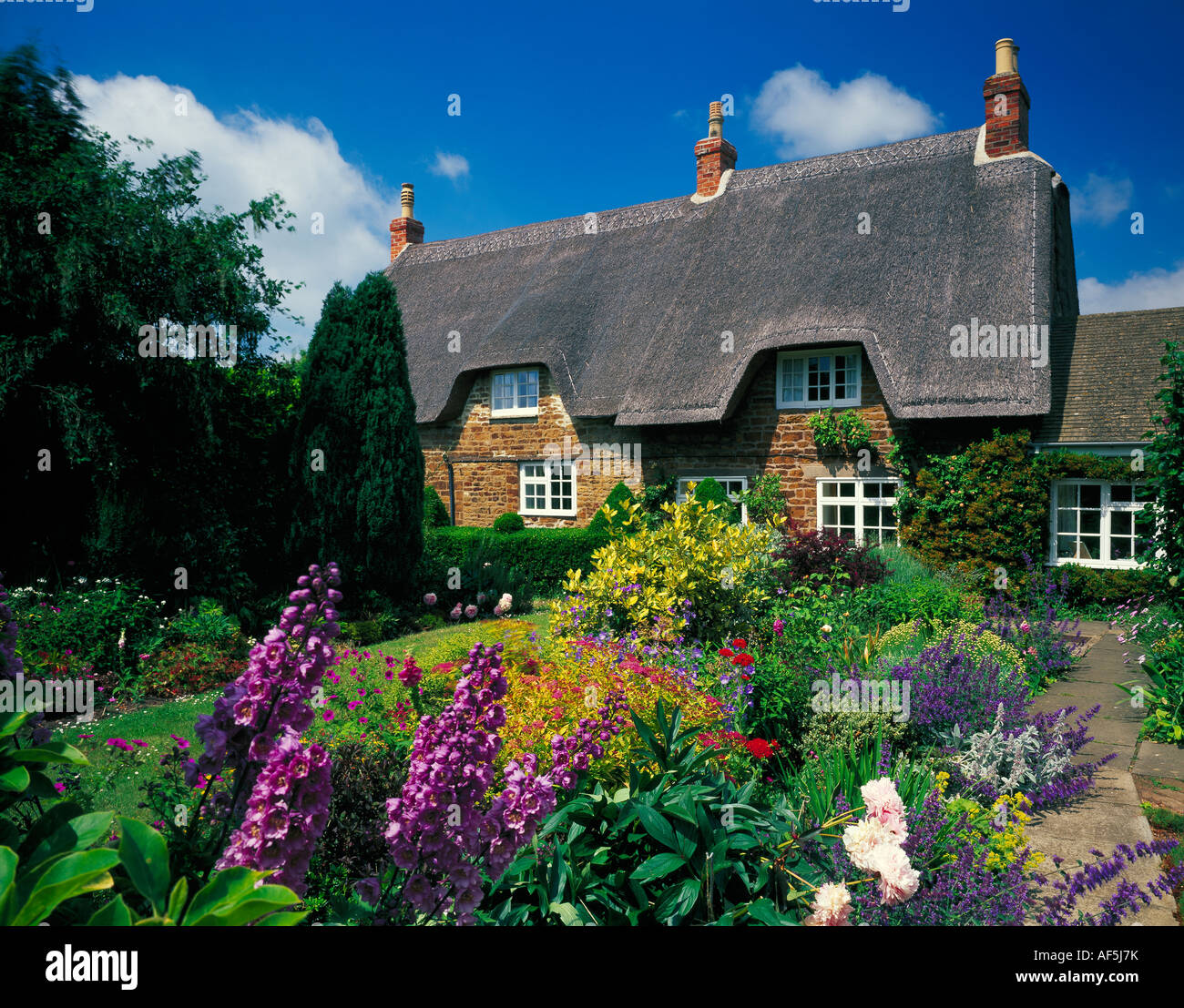 Thatched Cottage Langham Rutland England UK Stock Photo Alamy