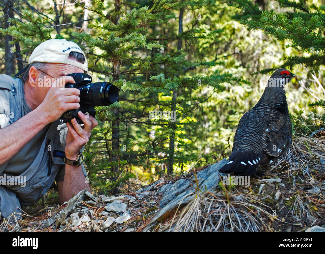 Close up of photographer nature hi-res stock photography and images - Alamy