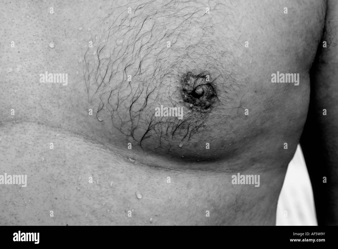 mans boobs, black and white image off a bare male boob/chest Stock