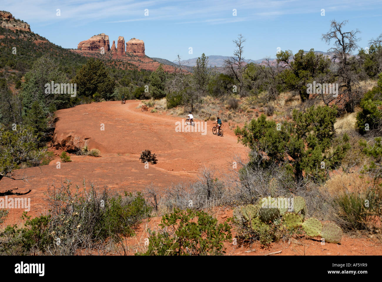 Family riding mountain bikes in Red Rock Country, Sedona Arizona, Cathedral Rock in background Stock Photo