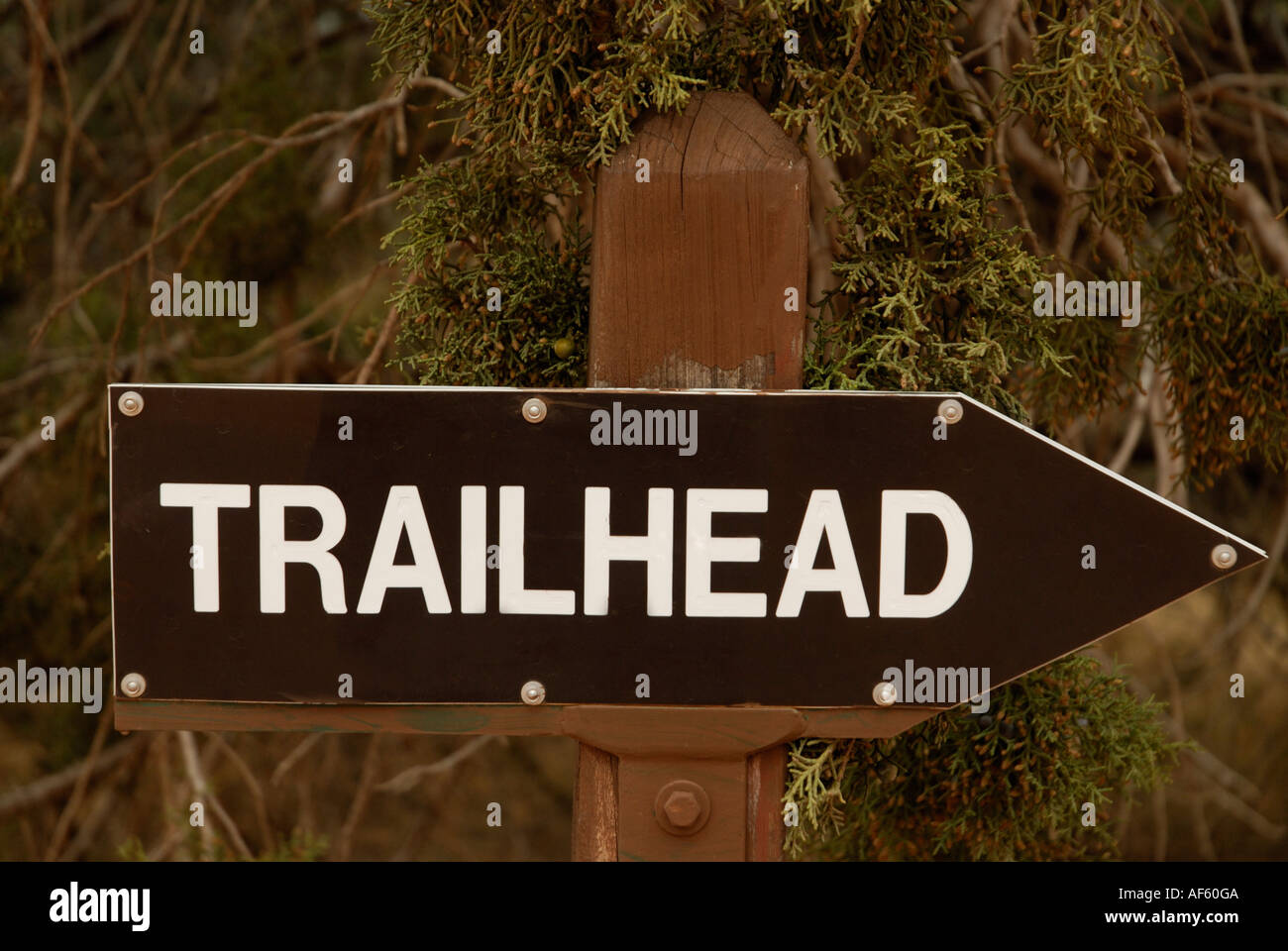 Trailhead sign Stock Photo