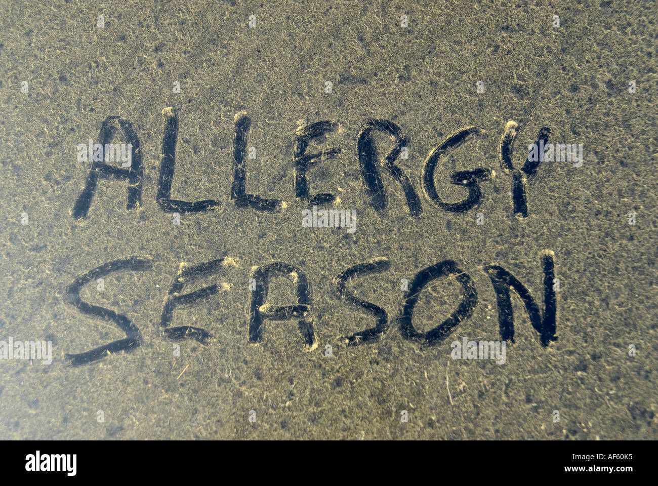 Allergy season words drawn in pollen accumulated on hood of car Stock Photo