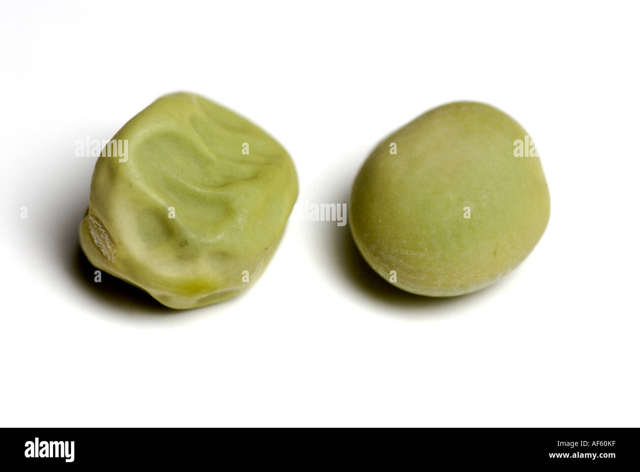 Green smooth and wrinkled pea seeds, traits Gregor Mendel studied in his genetics heredity experiments. Stock Photo