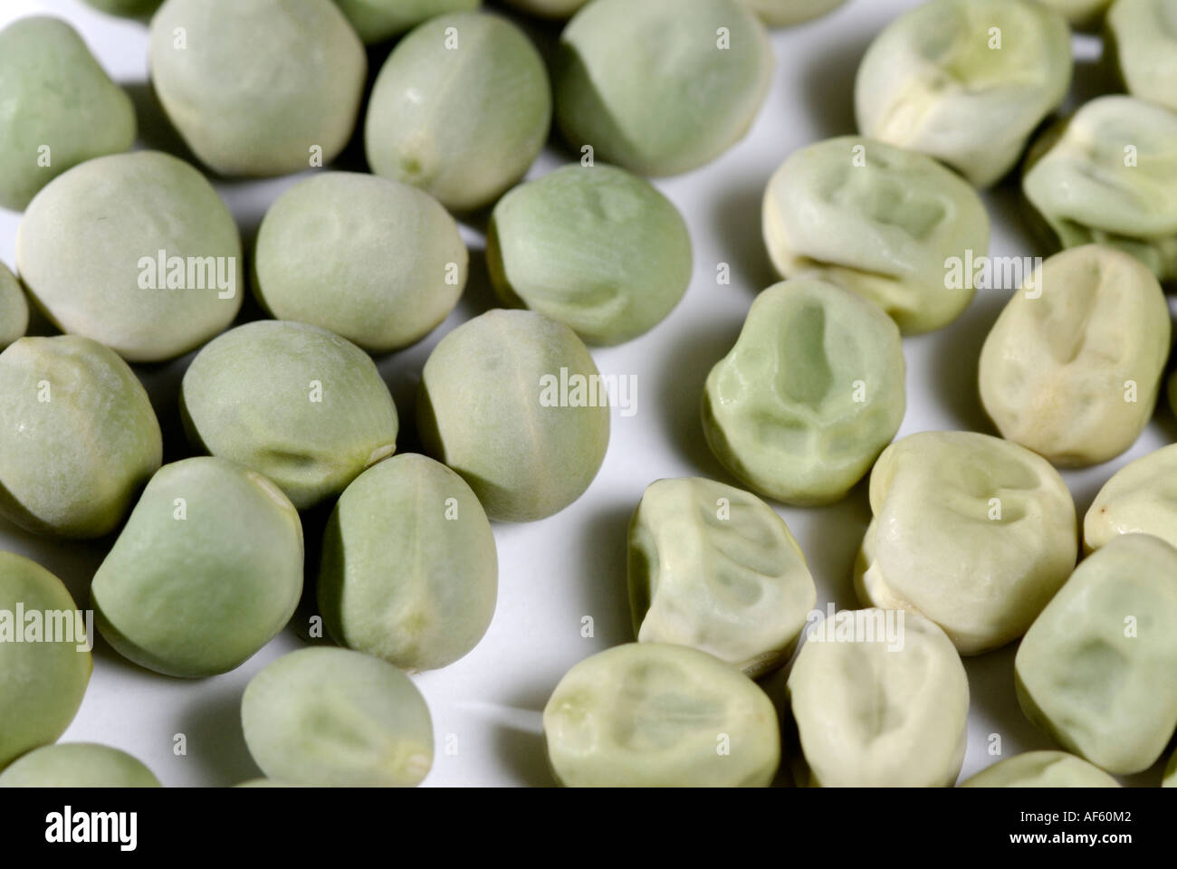 Green smooth and wrinkled pea seeds, traits Gregor Mendel studied in his genetics heredity experiments. Stock Photo